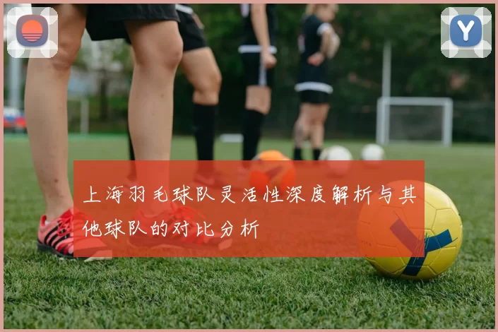上海羽毛球队灵活性深度解析与其他球队的对比分析