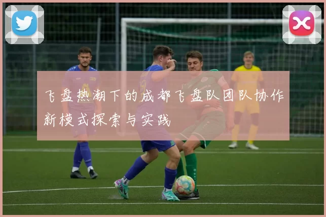 飞盘热潮下的成都飞盘队团队协作新模式探索与实践