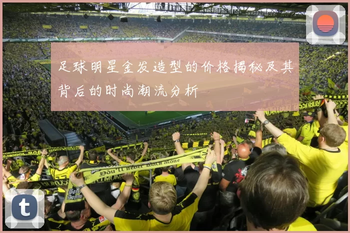 足球明星金发造型的价格揭秘及其背后的时尚潮流分析