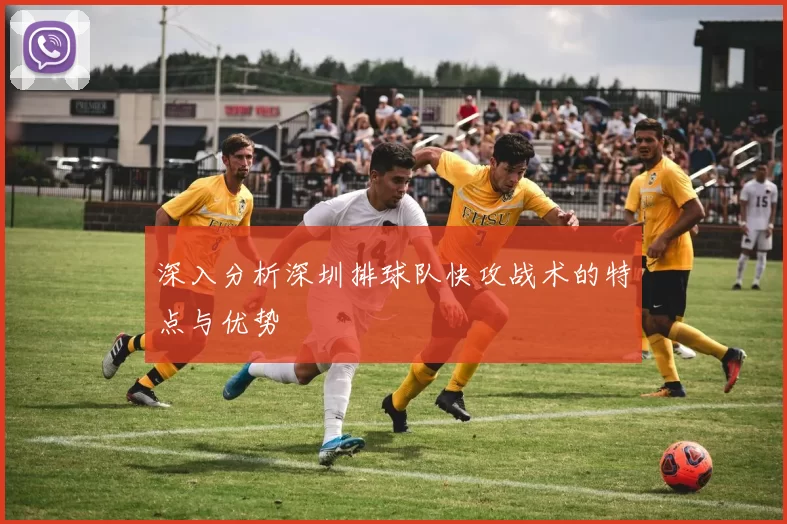 深入分析深圳排球队快攻战术的特点与优势