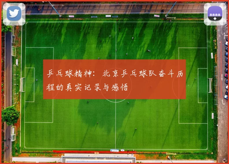 乒乓球精神：北京乒乓球队奋斗历程的真实记录与感悟